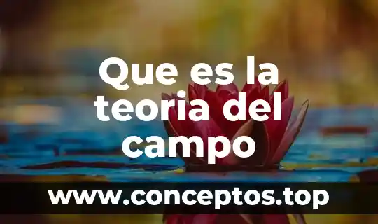 Qué es la teoría fordista 3 Que es la teoria del campo