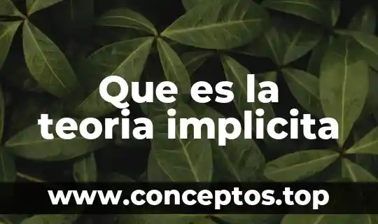 Que es la teoria implicita