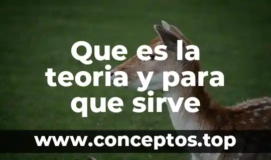 Qué es la teoría del derecho divino 3 Que es la teoria y para que sirve