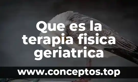 Que es la terapia fisica geriatrica
