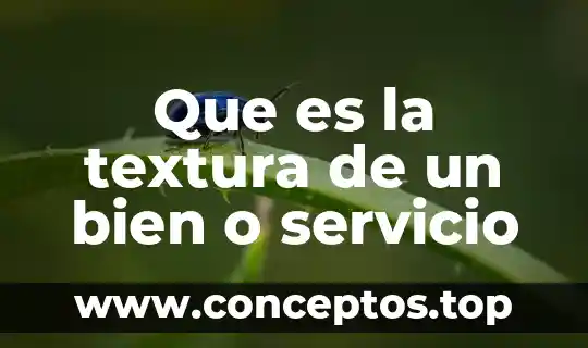 Que es color forma y textura en las artes plasticas 5 Que es la textura de un bien o servicio