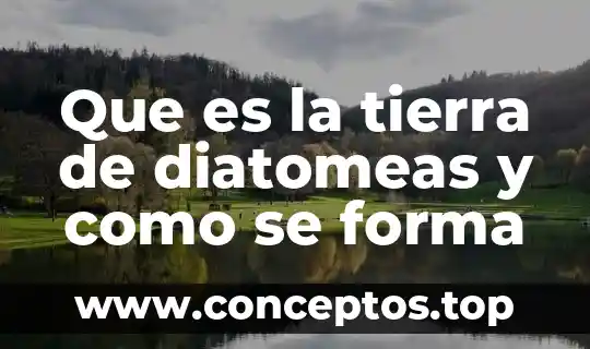 Que es la tierra de diatomeas y como se forma
