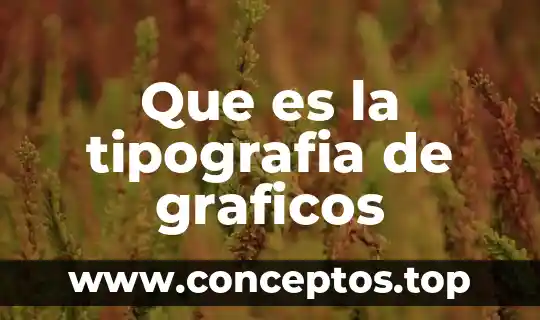 Que significa que es electricamente borrable 7 Que es la tipografia de graficos
