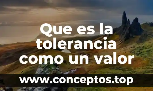 Que es la tolerancia como un valor