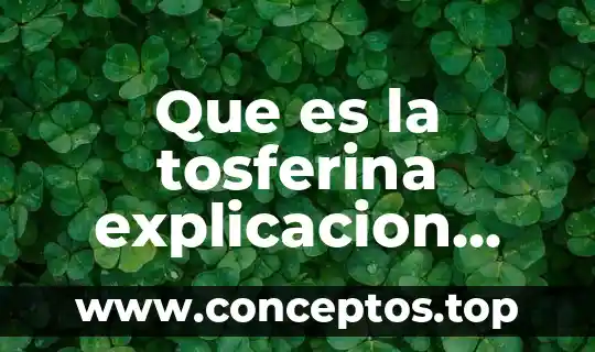 Explicación de que es la filosofía 6 Que es la tosferina explicacion para niños