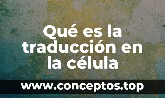 Qué es la traducción en la célula