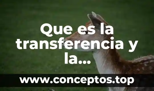 Que es la transferencia y la contratransferencia en psicologia