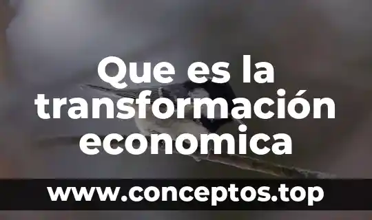 Que es la transformación economica