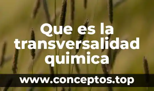 Que es la transversalidad quimica