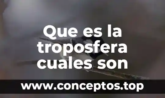 Que es la troposfera cuales son
