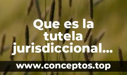 Que es la tutela jurisdiccional en mexico