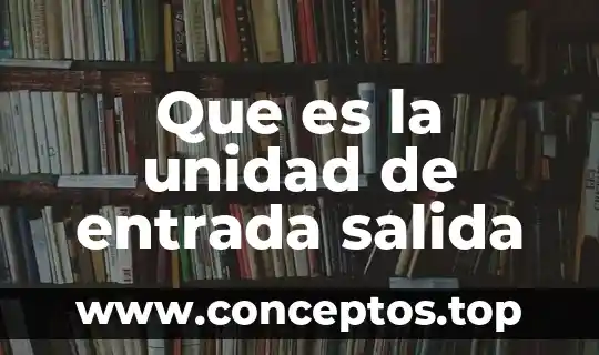 Que es la unidad de entrada salida