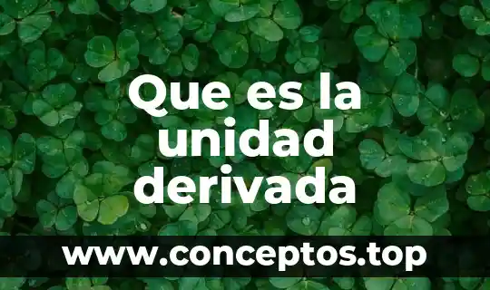 Que es la unidad derivada
