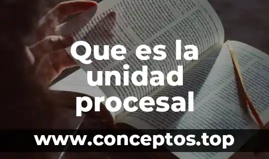 Que es la unidad procesal