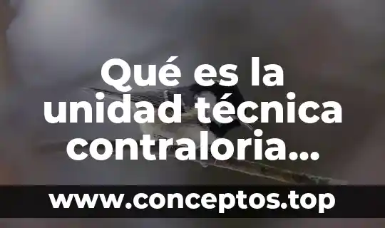 Qué es la unidad técnica contraloria municipal