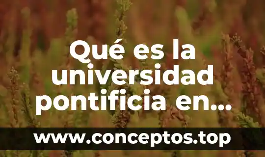 Qué es la universidad pontificia en México
