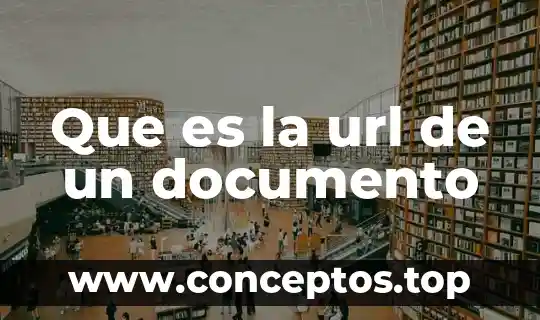Que es la url de un documento
