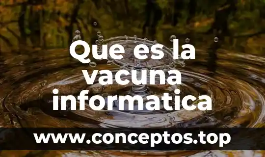 Qué es significa soldado en informática 4 Que es la vacuna informatica