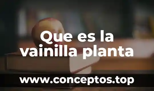 Que es la vainilla planta