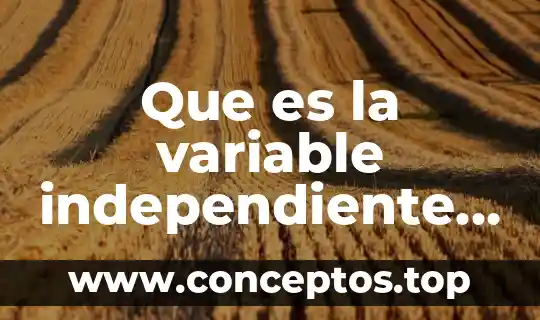 ¿Qué es mejor un trabajo fijo o independiente? 5 Que es la variable independiente en una funcion
