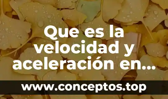 Que es la velocidad y aceleración en fisica