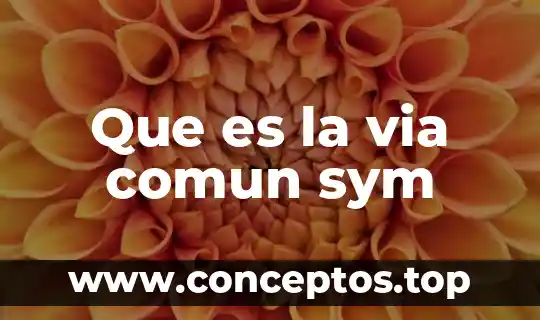 ¿Qué es un nombre trivial o común y ejemplos? 3 Que es la via comun sym