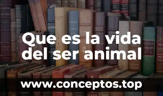 Qué es ser un conglomerado 7 Que es la vida del ser animal