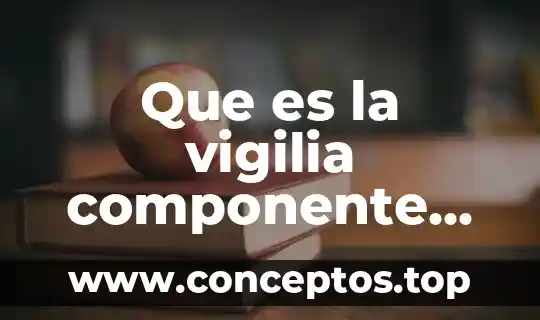 Que es la vigilia componente del horario de vida