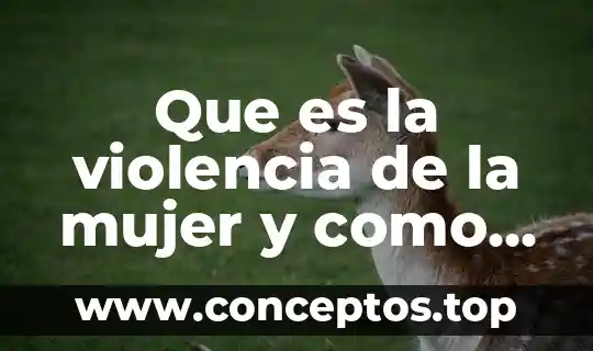 Qué es el acoso y violencia cibernética 6 Que es la violencia de la mujer y como prevenirla
