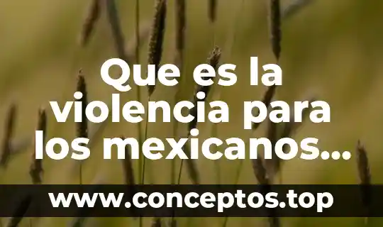 Que es la violencia para los mexicanos redalyc