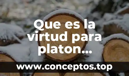 Que es la virtud para platon resumen