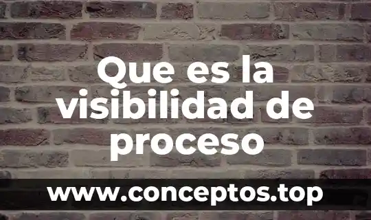 Que es la visibilidad de proceso