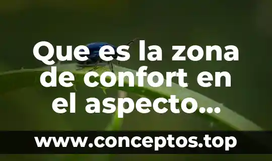 Que es la zona de confort en el aspecto educativo