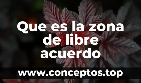 Que es la zona de libre acuerdo
