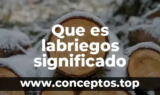 Que es desmesura significado 3 Que es labriegos significado