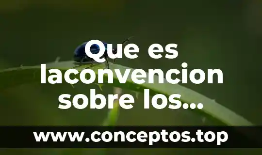 El ejercicio de los derechos individuales que es 4 Que es laconvencion sobre los derechos de las pcd