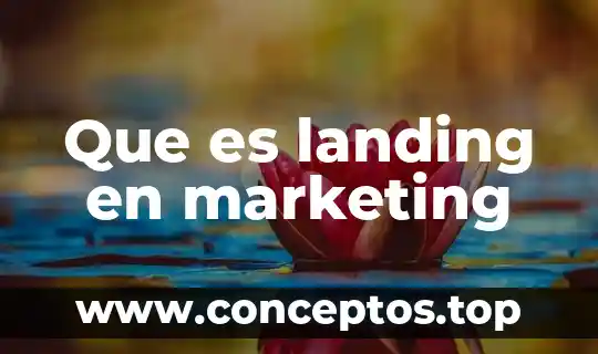 Que es landing en marketing