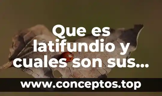 Que es latifundio y cuales son sus consecuencias