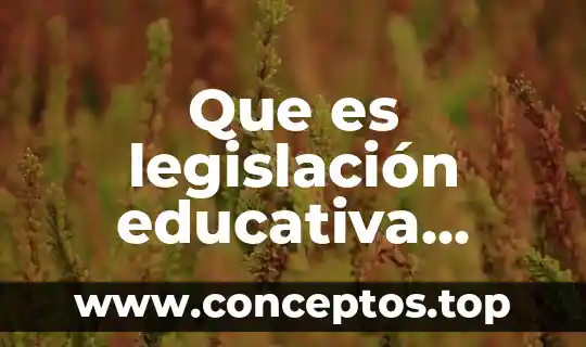 Significado de pesa que es definición 3 Que es legislación educativa general definicion