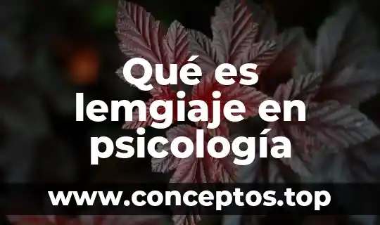 Qué es dismnesia en psicología 4 Qué es lemgiaje en psicología