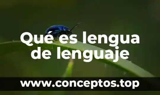 Filosofia del lenguaje que es el signo y simbolo 4 Qué es lengua de lenguaje