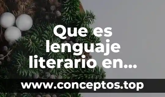 Que es lenguaje literario en prosa