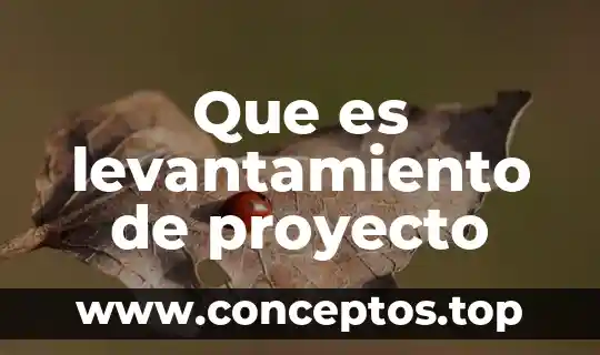 Que es levantamiento de proyecto