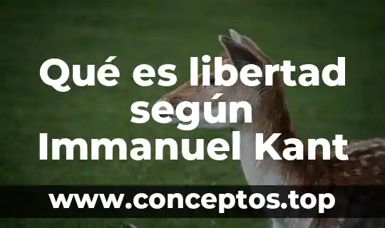 Qué es libertad según Immanuel Kant