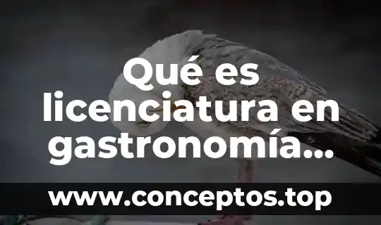 Qué es licenciatura en gastronomía Yahoo