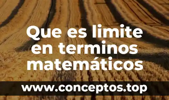 Que es limite en terminos matemáticos