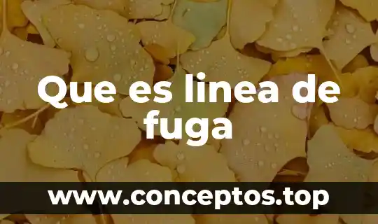 Que es linea de fuga