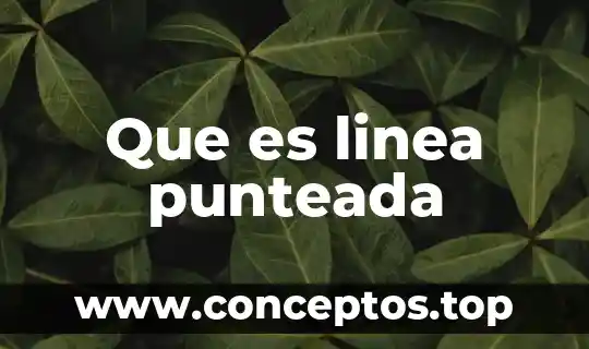 Que es linea punteada