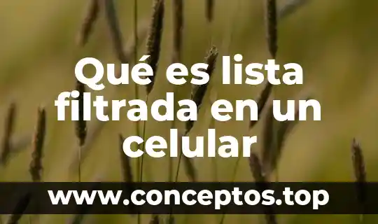 Qué es lista filtrada en un celular