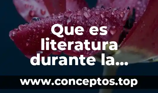 Que es literatura durante la revolucion